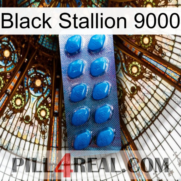 Black Stallion 9000 viagra1.jpg